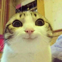 tác giả buê đuê
