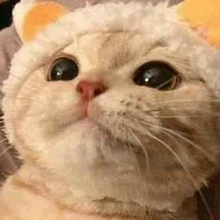 Tác giả😗