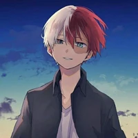 shoto Todoroki