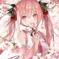Haruko Sakura