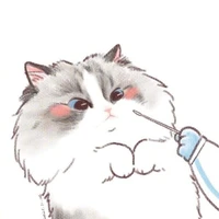 noãn hoàng