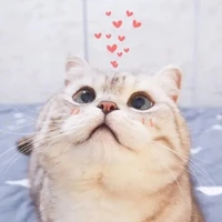 Bộ phận tua thần thánh