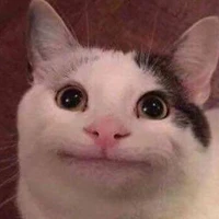 Mèo Mi
