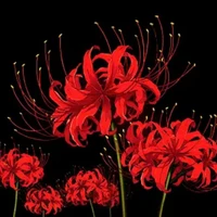 Mọi người xung quanh