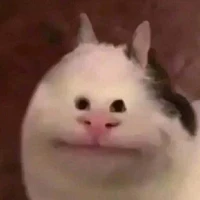 Tác giả 😔👊