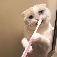 tác giả:3