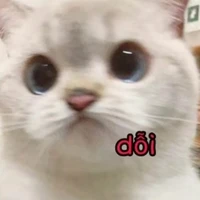 bà chủ Truyện nha 🤣