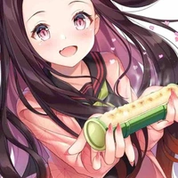 Kamado Nezuko/em hai