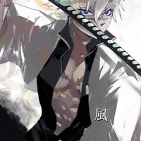 Shinazugawa Sanemi / Phong Trụ