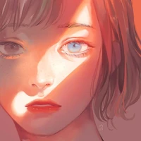 y/n
