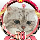 Meo_lười