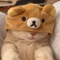 tác giả