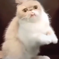 me