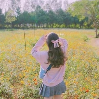 T/L : Lya