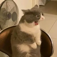 Coan tác giả