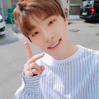 Dino_17