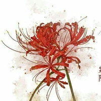 Băng Furawashoa - 花岸