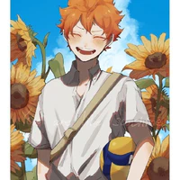 Hinata Shoyo