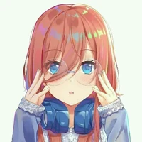 Y/n