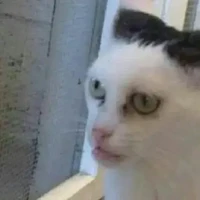 Con mẹ chủ nợ :)))))