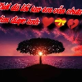 tác giả
