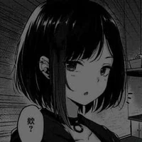Y/n