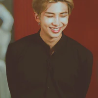 Namjoon/ba Kim/