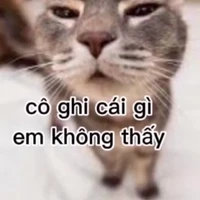 tất cả