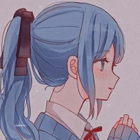 Y/N