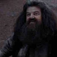 𝐑𝐮𝐛𝐞𝐮𝐬 𝐇𝐚𝐠𝐫𝐢𝐝