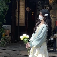 Stelly Arish