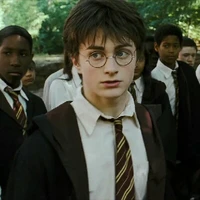 Potter⊙_⊙