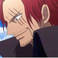 Shanks