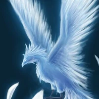 Phượng hoàng Băng