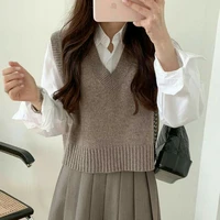 Lee Ami