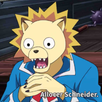 Allocer Schneider