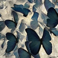 All - Mọi người