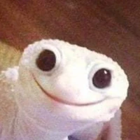 tác giả bị ngáo