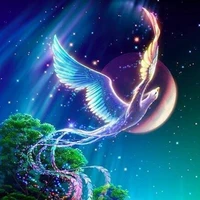 Eyrik/Phượng hoàng bí ẩn/