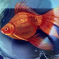 Người kể chuyện