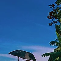 đàn em