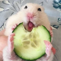 tác giả hiền lành =]
