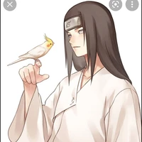 Huyga neji
