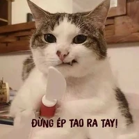 Hồ thị tuyết ngọc