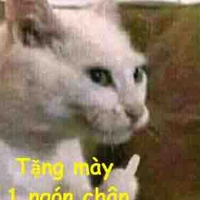 Bé xà bông