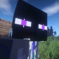 Joki
