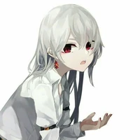 Y/N