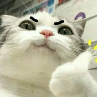 tác giả