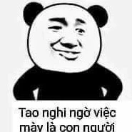 tác giả