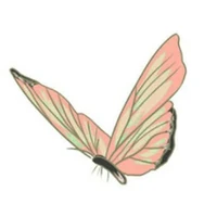 những người thích hóng chuyện